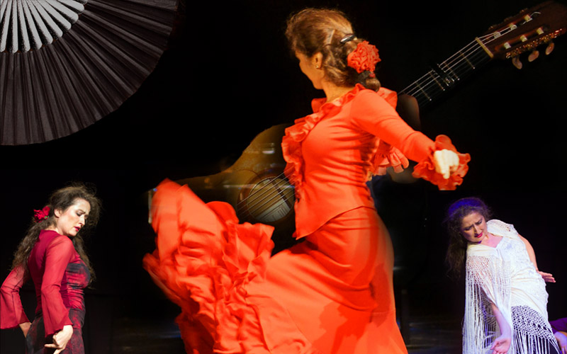 Flamenco-Shows-800-02